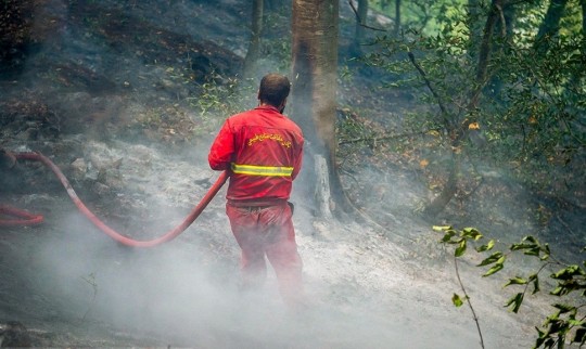  آتش در جنگل‌های هفت‌خال چهاردانگه ساری