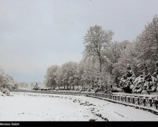 بارش برف در کهگیلویه و بویراحمد به نیم متر رسید/ اختلال در برقراری تماس تلفن‌های همراه