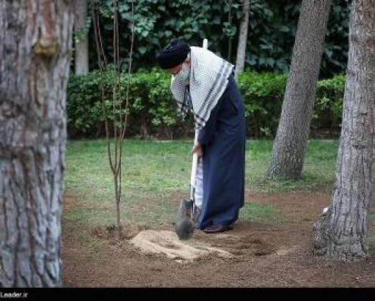 غرس نهال توسط رهبر انقلاب به مناسبت روز درختکاری