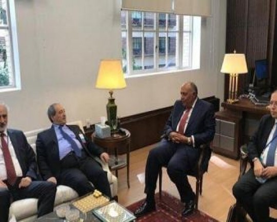 وزیر خارجه سوریه وارد قاهره شد