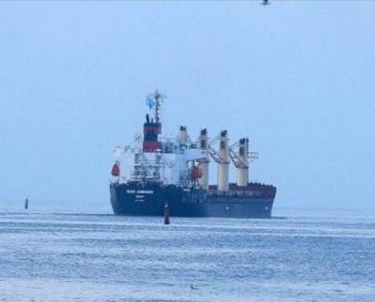سازمان ملل: یک کشتی حامل غلات از اوکراین به یمن رسید